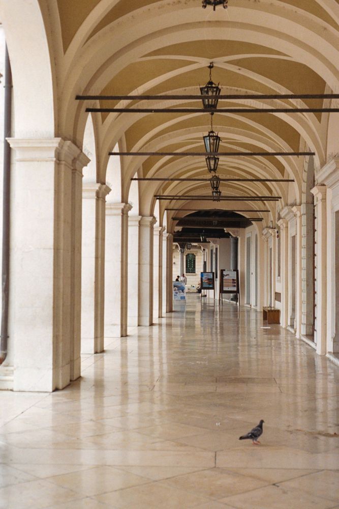 Back to Salò